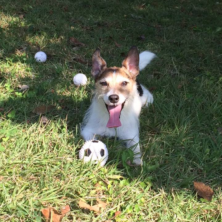 D00cb5fe 4c65 4245 9837 f88d31aac972