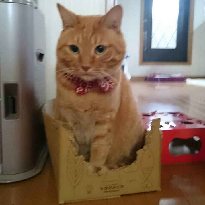 D00cbdf2 70da 4e9b b46e 2285fd341d3b