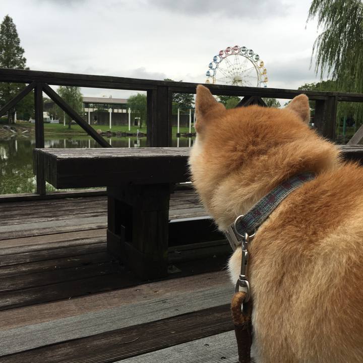 D00d4f1b 00b1 4c3a 9680 f111cf9e7d34