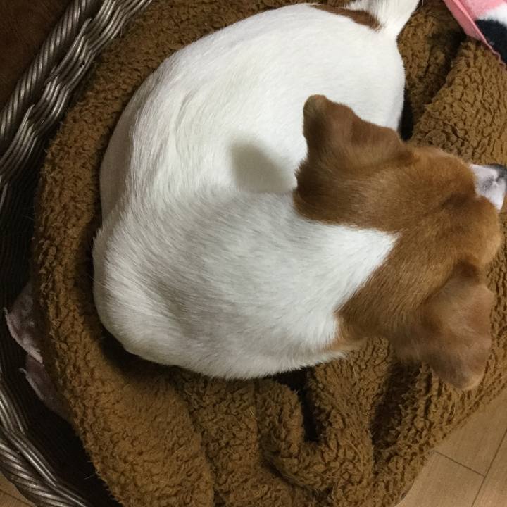 D00d731f a7ec 4d8f 8e97 2d9a5234ed7b