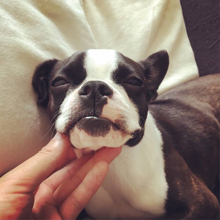 D00dbae3 82cb 48ad a2a8 fc0a45e8a6ce