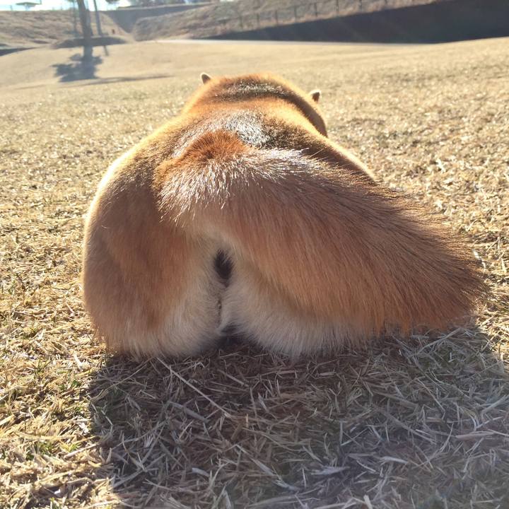 D00e3fd3 6157 4a99 bd2b 9d58a81b0f30