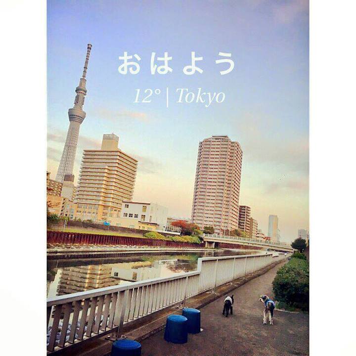 D00e91e8 e13c 438e b99a 8ba3f1d92de3