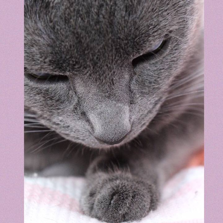 D00e9b96 2873 4b80 aff1 c3e6cb7771c8