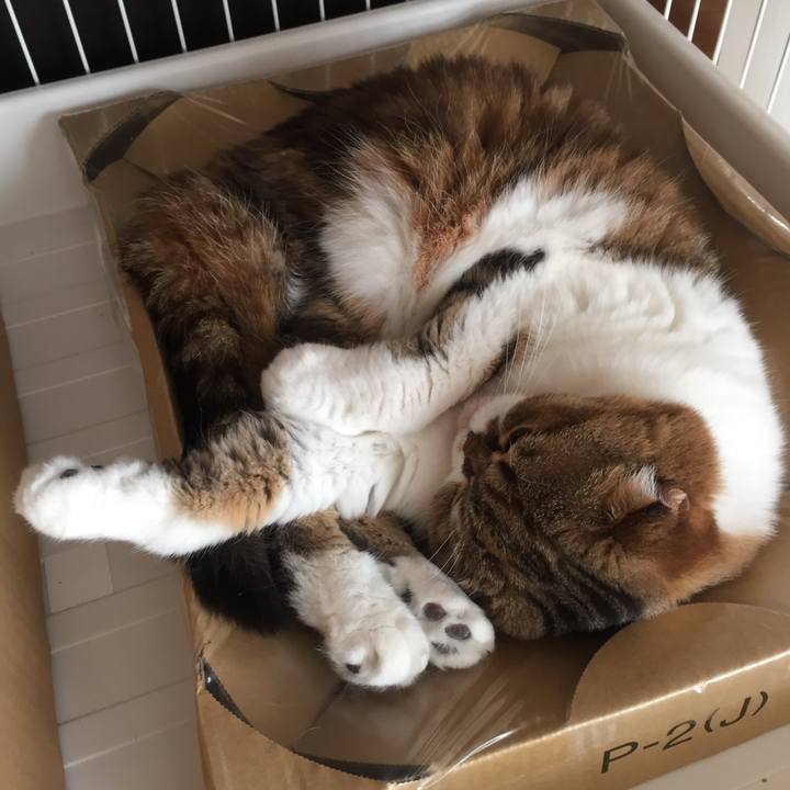 D00eeaec 448f 4a17 b64c 9fd9b1f327e3