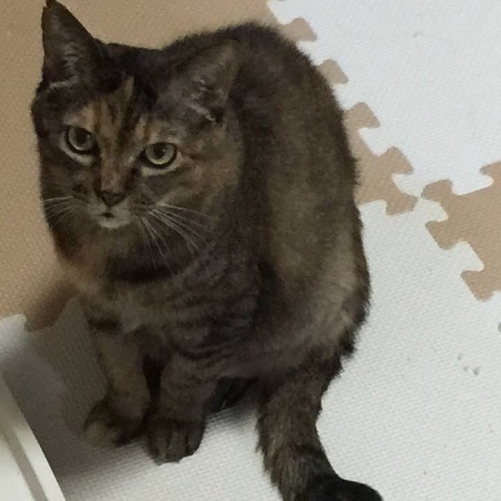 D00fd24f 92a9 4743 beda d5bfca386298