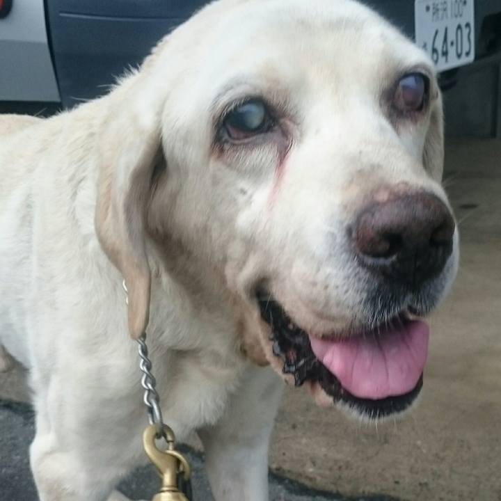 D0101a0b 74e8 45c9 bc0e 87aff316c3d8