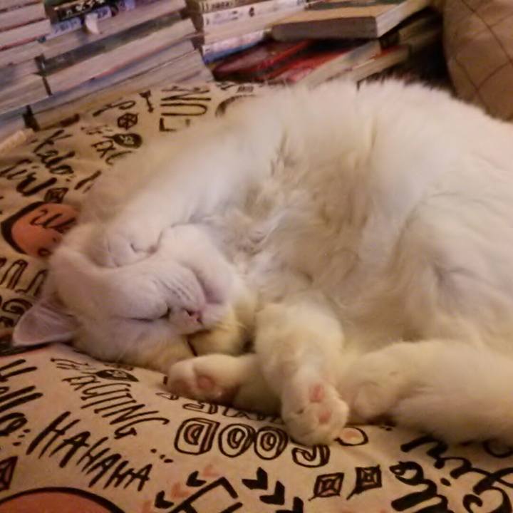 D0108046 cffc 4715 9645 5c6c5931f636