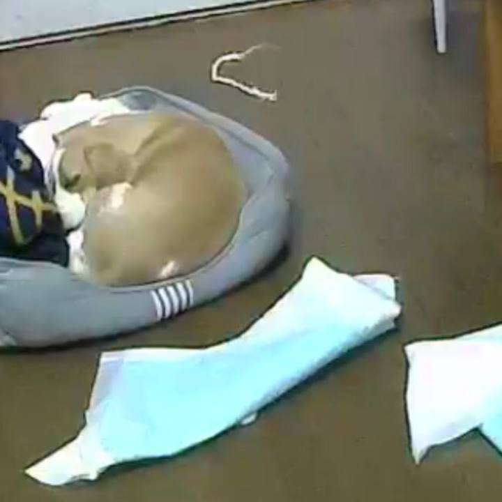 D010839b e6aa 4f66 bc35 fbe8c7499c9b