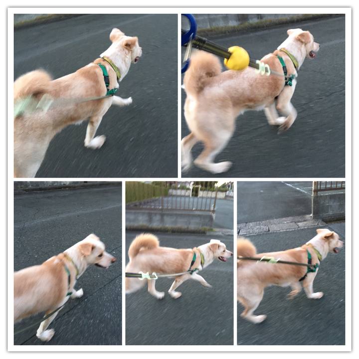 D0109fe8 eac9 4ef7 86b6 aa9d39f11ad3