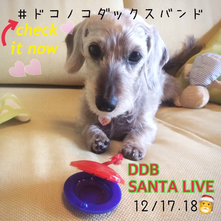 D010bde8 cde4 4e8f 9612 b43ccbef59f7