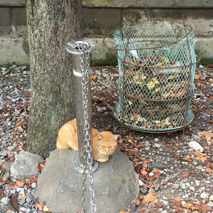 D010ee48 4b50 4069 a939 381a30ddde3e