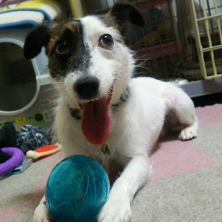 D01133da 6462 4c78 b754 e626f41bbc03