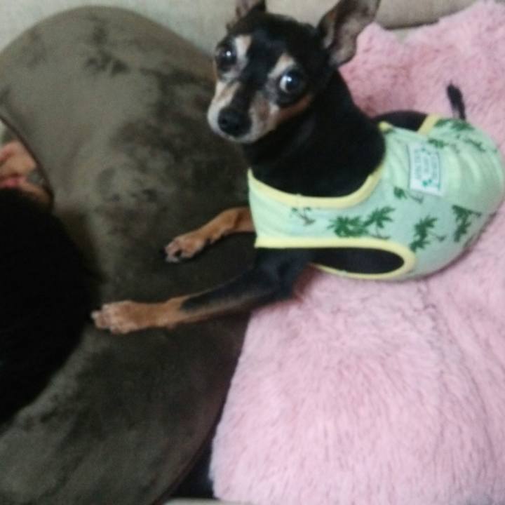 D011b7d3 f4a2 428d b24b 7955c963ce0c