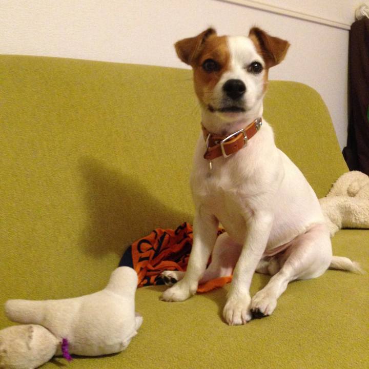 D011b9e4 82bd 4383 847a f84cd48a43f9