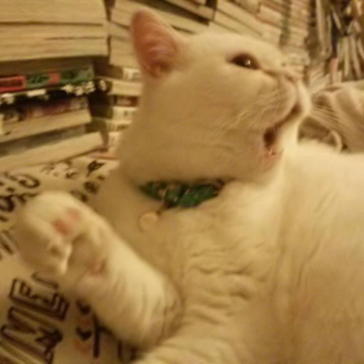 D011d4d8 e265 4824 8984 f011d7482032