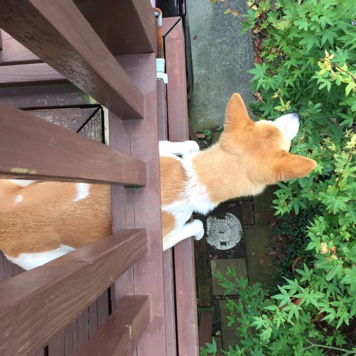 D012122f f30c 44a3 abcb 974d752aa972