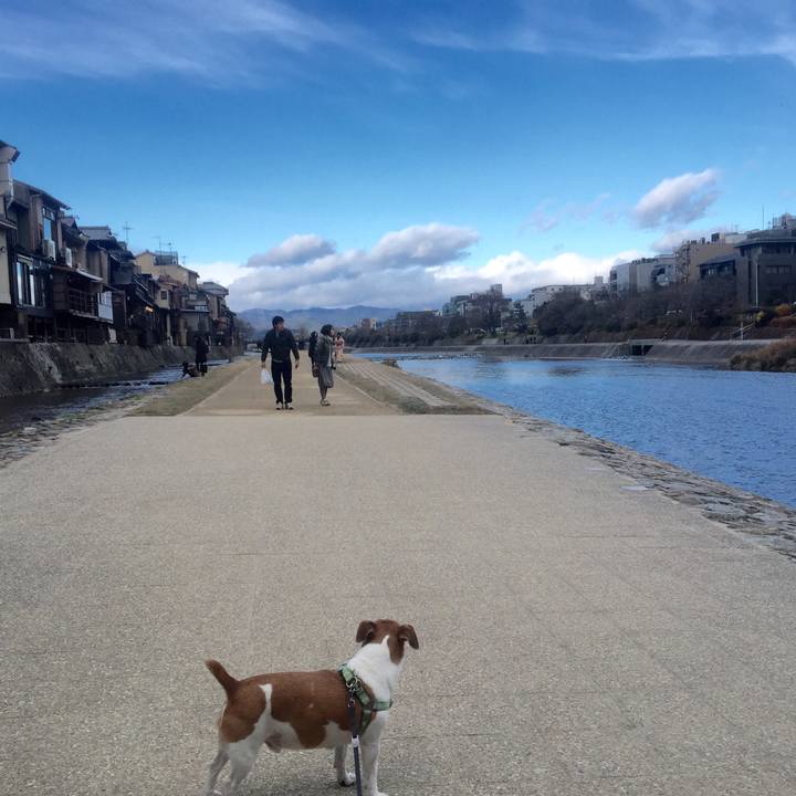 D0124139 a9ca 4b27 adf7 fac28fe5e40f