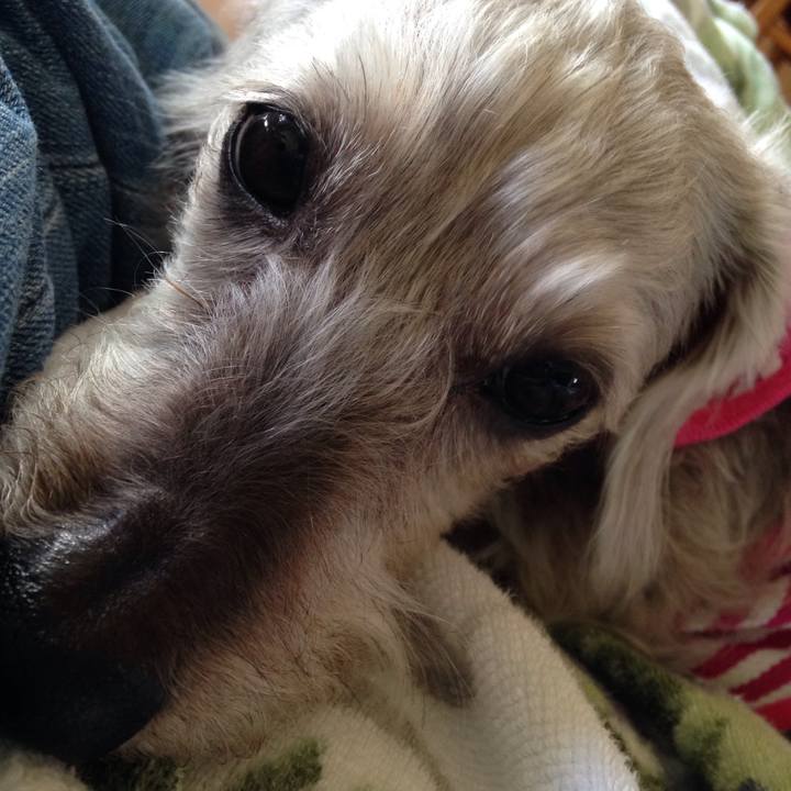 D01306e4 dd8b 47d7 b2e6 db0c49036bca