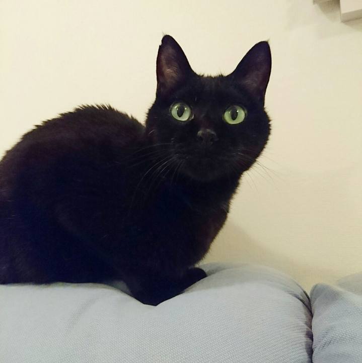 D0130d0d 7306 43f8 9d5f e61e3ac27923