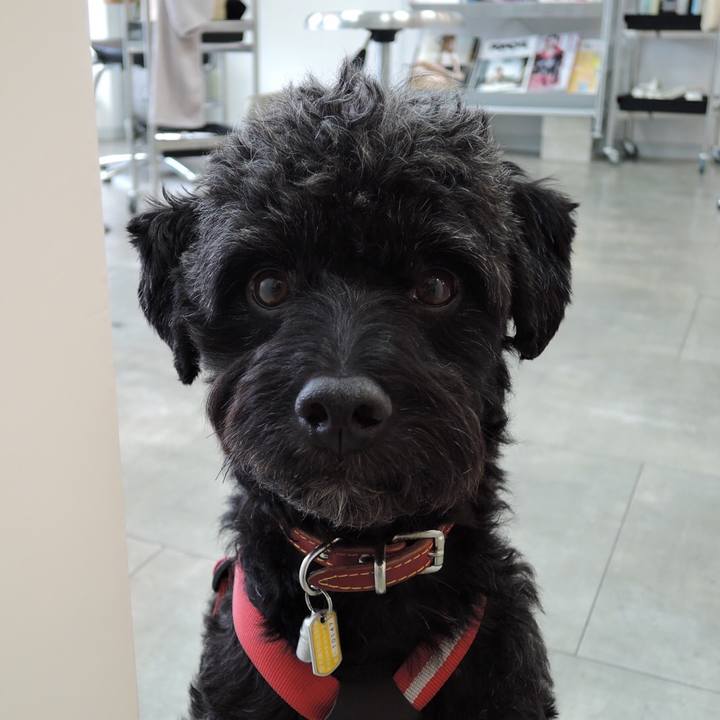 D0141534 5f0e 44ef 9635 1b5a12f92fa5