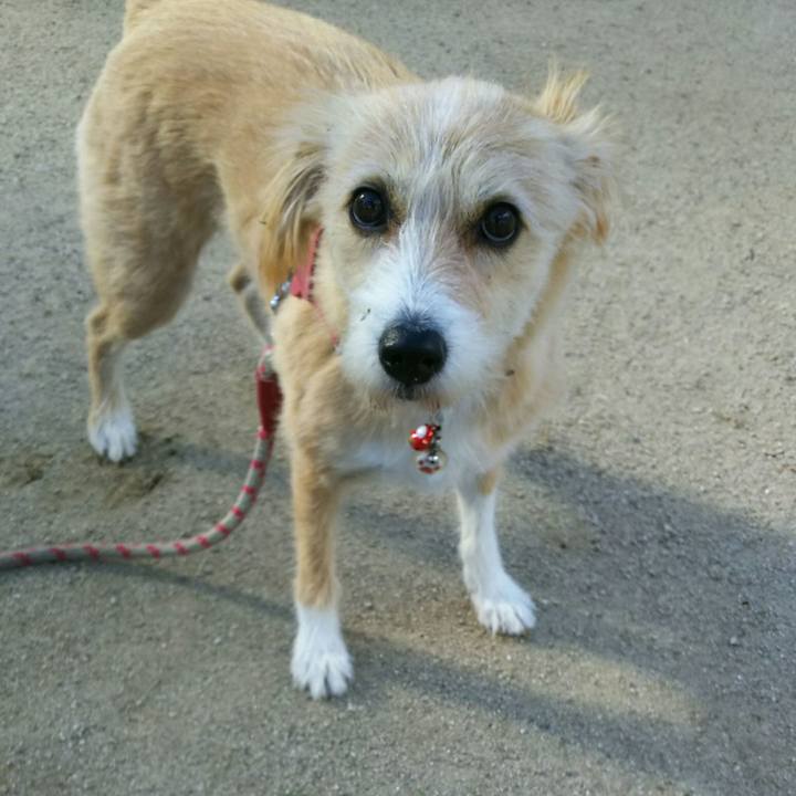 D014359f de58 4be6 9d3a 3e67e09fed20