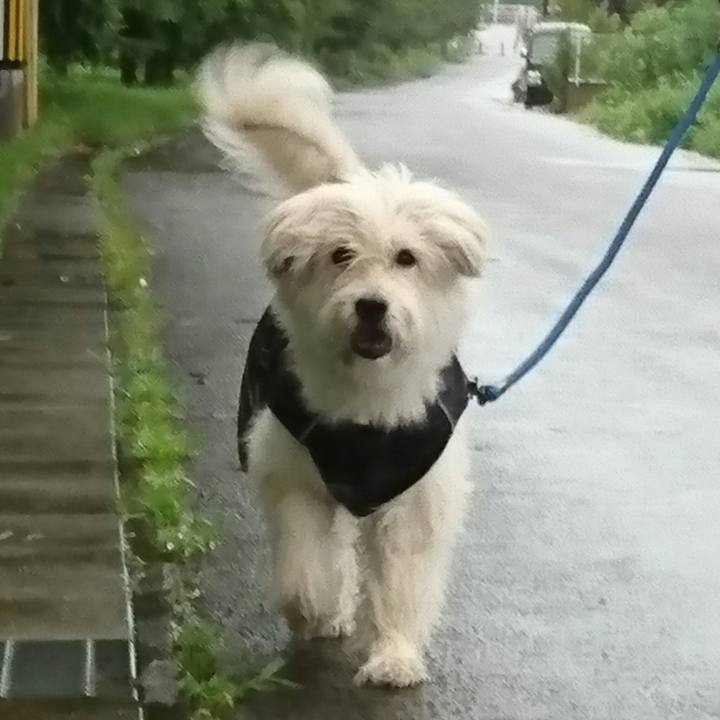 D01469a7 a05d 4776 8424 1bdf9ed03bc6