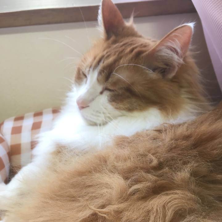 D01489f4 cb28 4891 b600 ae459e6390f7