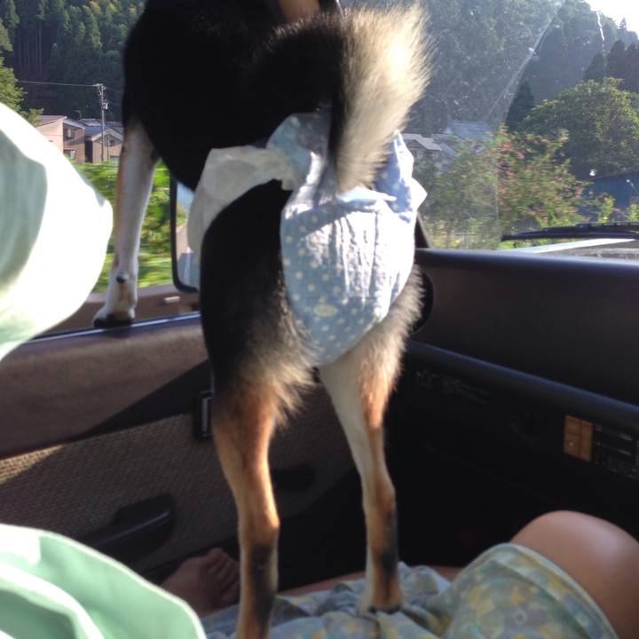 D0149482 2a26 4775 bb97 a6ee95637bd0