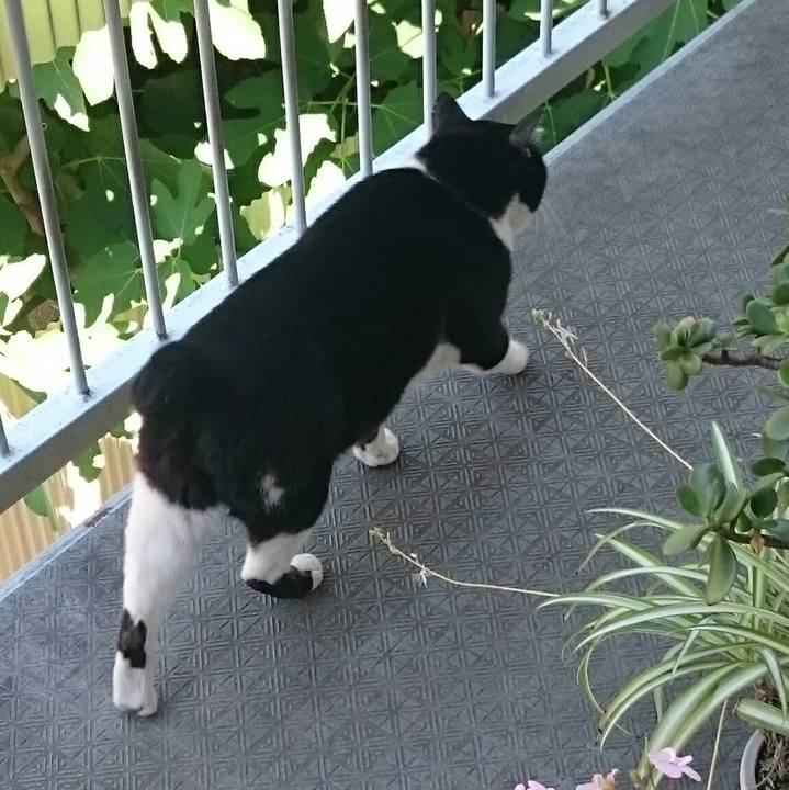 D014df0f ff41 4163 9bc4 3c15a18a4e04