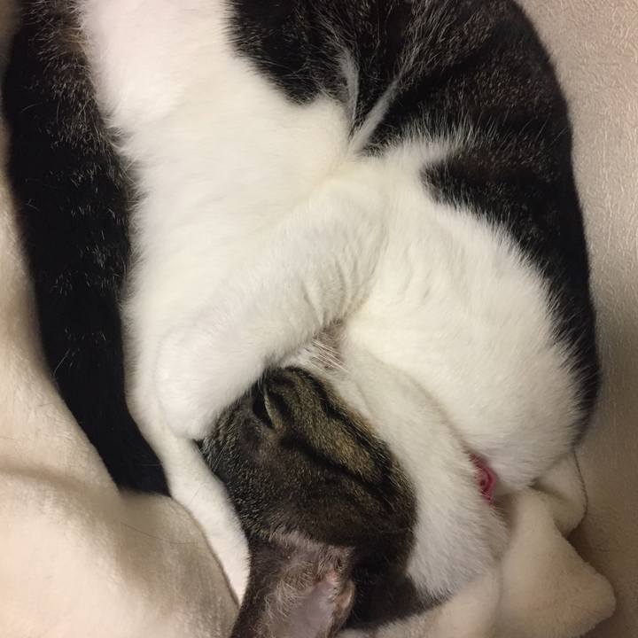 D01604a2 9929 4753 ba9d 0bbd7e91065c