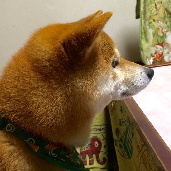 D0161b47 0156 49d9 800f 8686b700c340