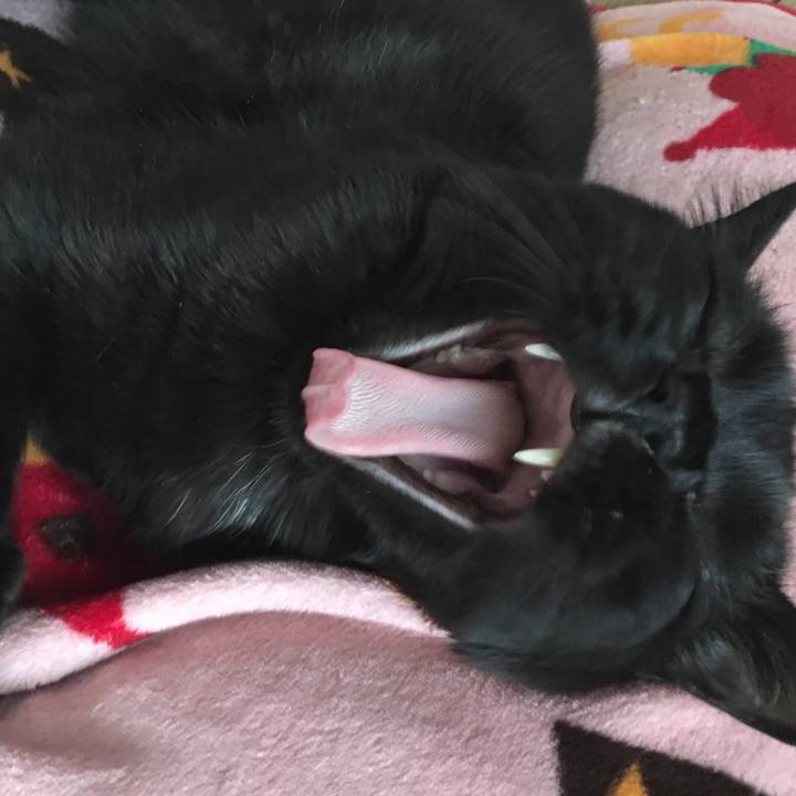 D016aeed d59d 44a3 a89e afd36bdf9281