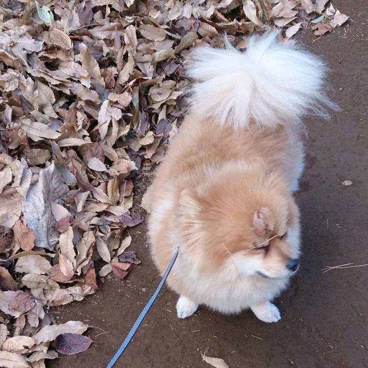 D0170e19 824e 488b 83dd 6733f473301d