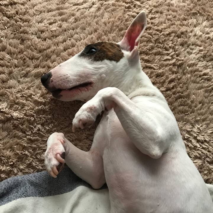 D01713e5 a4d6 4b5f 9c48 d096d76c33ef