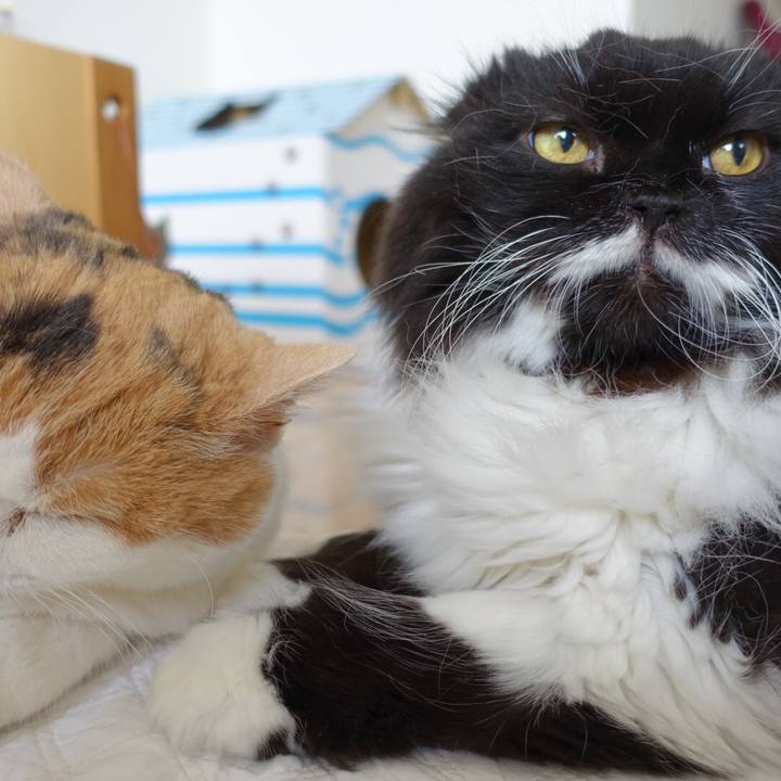 D017193d 644b 4514 b8d9 c95b1a0505ea