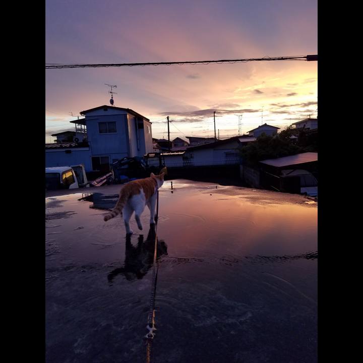 D0177ea4 795c 4c62 a994 9894fac18ee8