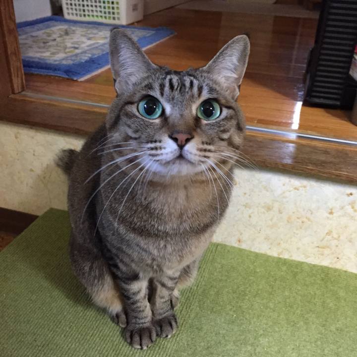 D0178552 e2b8 4e80 b19b b436de435158