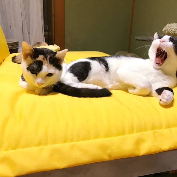 D0179385 9cfd 46b0 96e4 e1cc0376b435