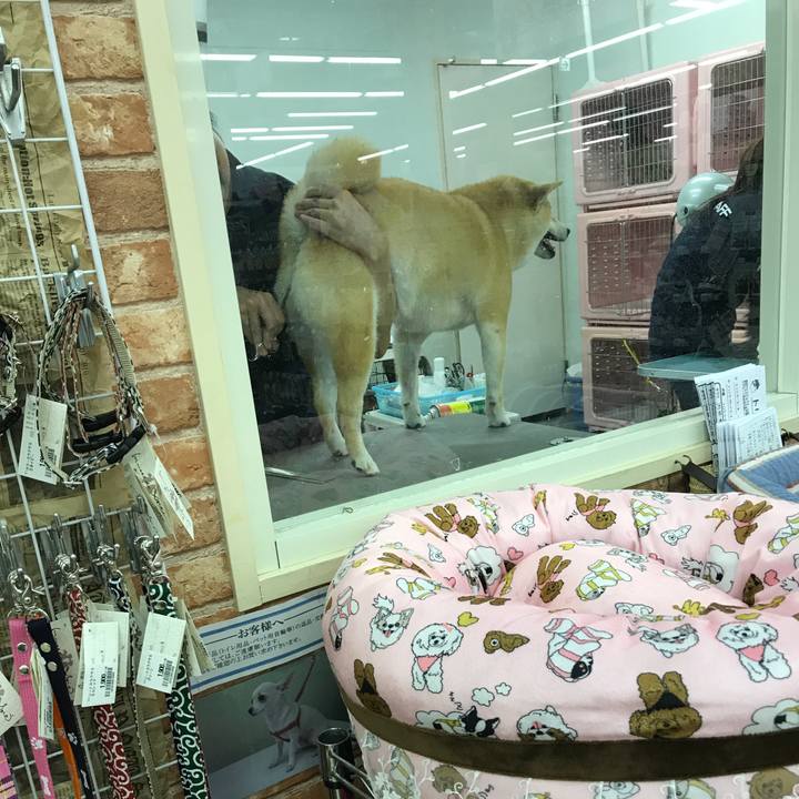 D0185aac 8d6e 41a5 b04b 98f963f49ed4