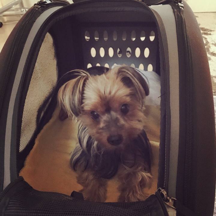 D0189a46 852b 46c8 94f1 ce24f1ee333f