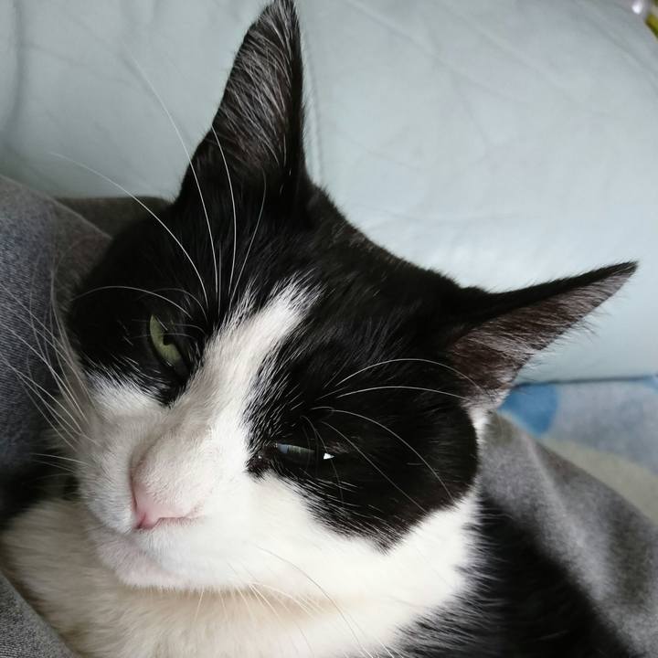 D0196c8a a50e 4ad2 aa45 35ab1d96c7c7