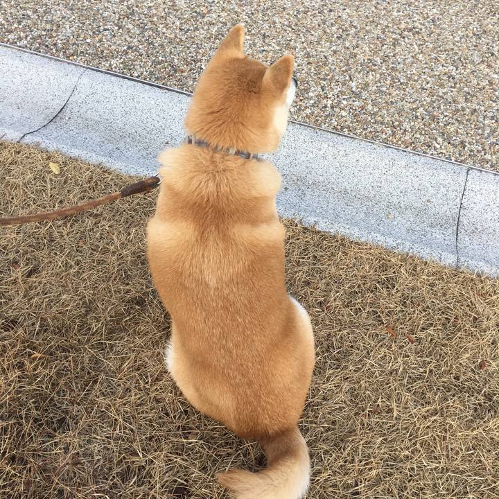 D019c92e 3c48 4c33 9d54 e7cedf71b32f