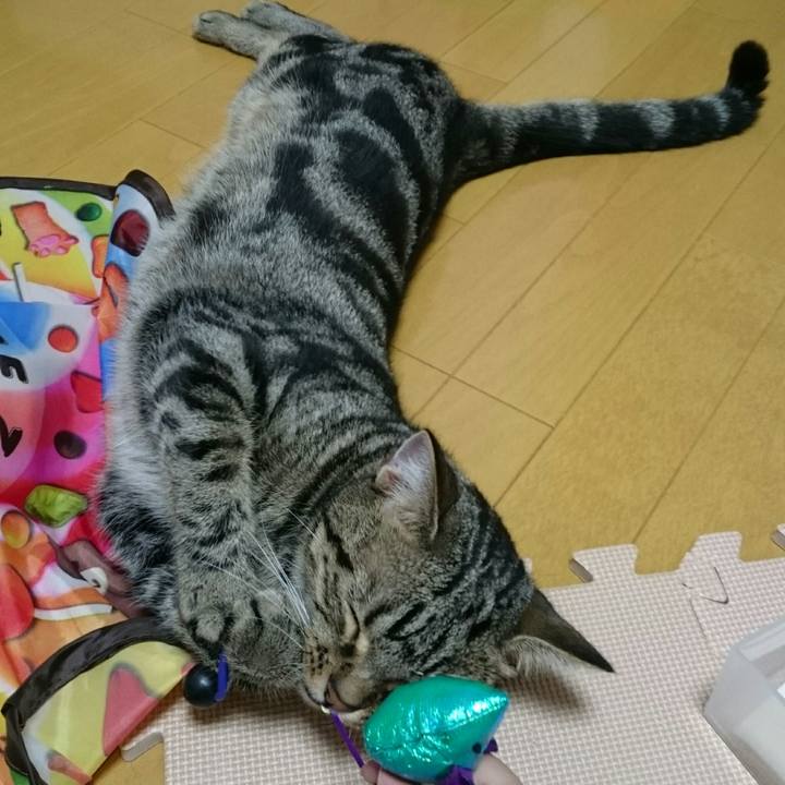 D019dad6 b5de 453f b818 3f7615403d54