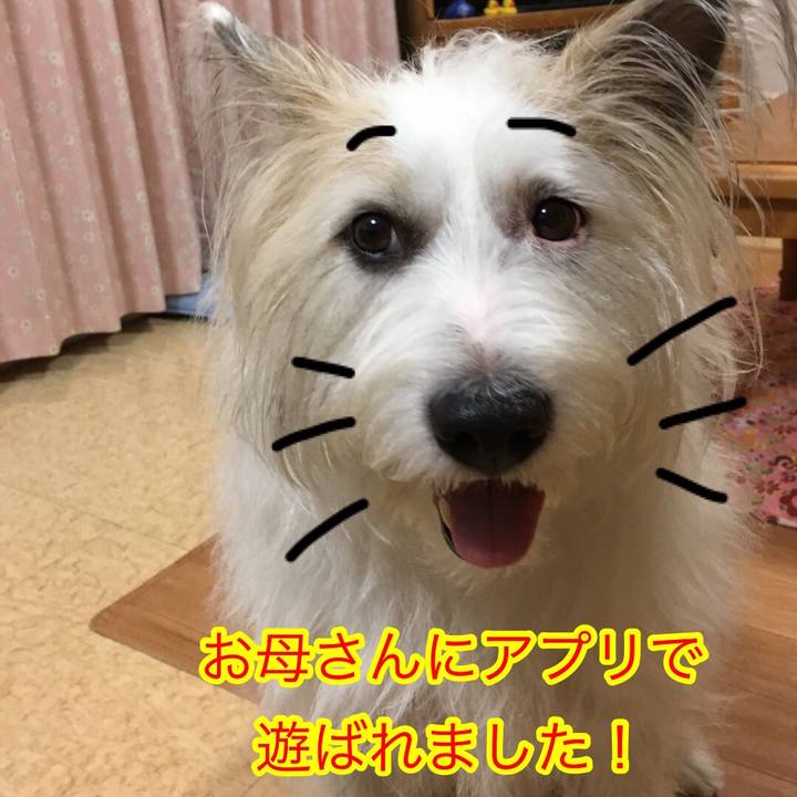 D01a56f3 9344 42fa 986d d97327021298