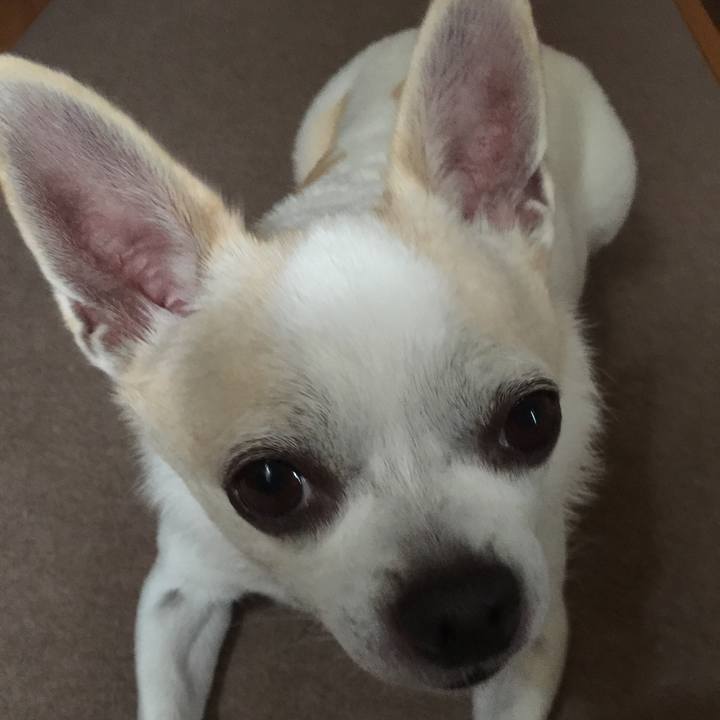 D01abd5f e245 4845 9a78 d564f722cde5