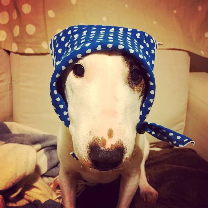 D01b849e 660c 460e 8d56 5ad8e0c3734e