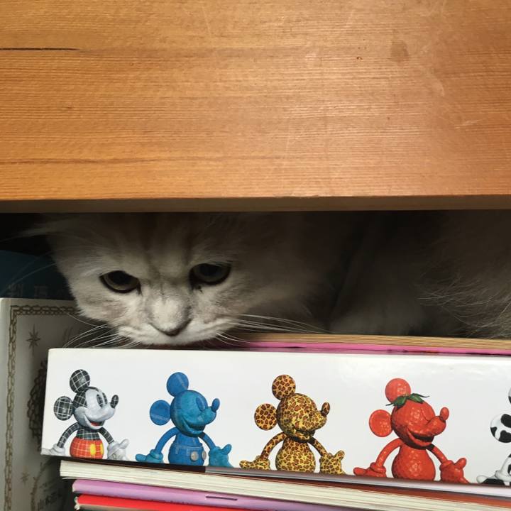 D01b857b af85 401c acee 69f52520ade4