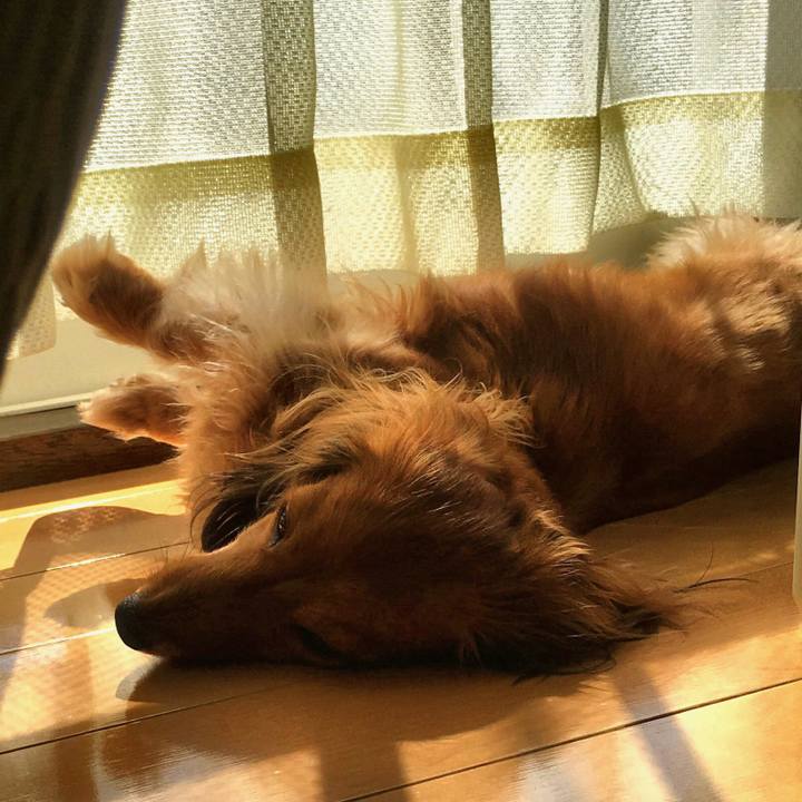 D01baaef 78d0 42ac 9325 6cdf704e13ce