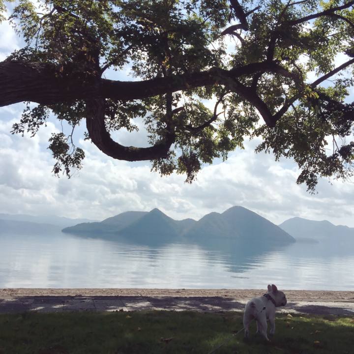 D01bcea8 c4fd 47d0 9fd9 7f58f35ce9d8